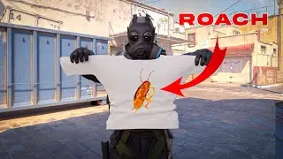 funny counter strike 3