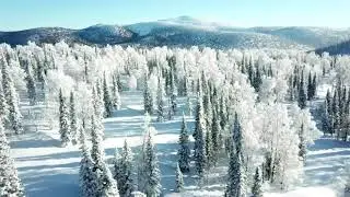 Таскыл 2019