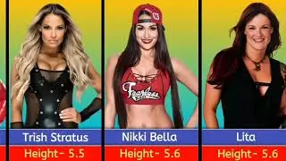 How Tall Are WWE Female Wrestlers || Height Comparison