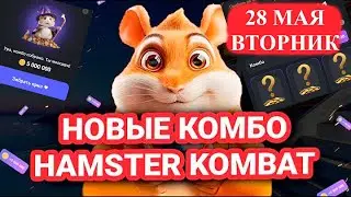 НОВОЕ КОМБО В ХАМСТЕР КОМБАТ от 28.05! ОТКРЫЛ ВСЕ комбо карты в Hamster Kombat