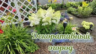 Начало цветения Гортензии. Прогулка - обзор. Цветущий сад в августе