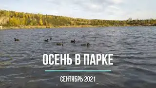 Осень в парке. Сентябрь 2021