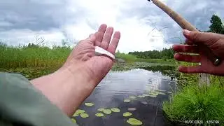 Тенкара   новые места