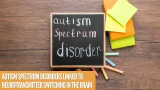 Autism Spectrum Disorders Linked to Neurotransmitter Switching in the Brain