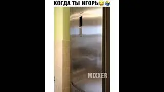 Когда ты Игорь. Игорь, кинь яйца в холодильник. А зачем?
