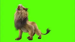 lion green screen viteo from WD 