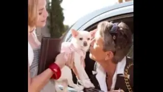 Crazy Dog Dance