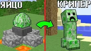 КАК ВЫЛУПИЛСЯ КРИПЕР МОБ МУТАНТ ИЗ ЯЙЦА В МАЙНКРАФТ ~ ВЫЛУПЛЕНИЕ И TROLING MINECRAFT МУЛЬТИК НУБ