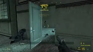 He has Terminal Gordon Freeman disease