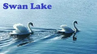 Swan Lake Suite (Piano Arrangement)