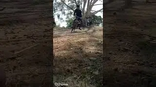 #short