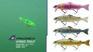 DAIWA  PROREX  HYBRID TROUT
