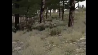 cakespray - located (official promo #2)