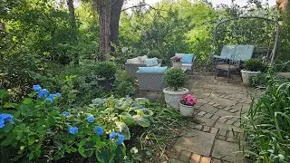 Summer's Eve in the Garden