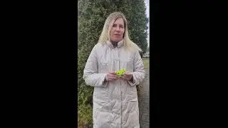 ФЛИКЕР КАЖДОМУ