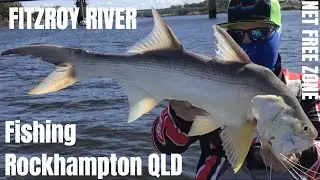 Big THREADFIN on the Fitzroy river, Rockhampton with Dave- NET FREE ZONES sure do work!!