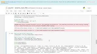 Dynamic input size inference with TFlite model