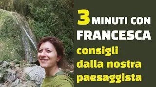 Schefflera e falangio, giochiamo con i loro verdi ebianchi