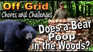Off Grid Chores and Challenges.  Does a Bear POOP IN THE WOODS?  A Backwoods Living Vlog #158