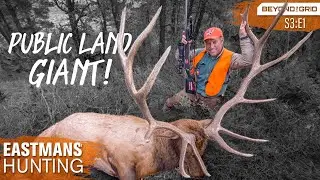 GIANT Bull! Elk Hunting on Public Land DIY