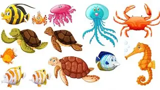 Sea animals names | Sea animals video | sea animals for children | Sea Animals 