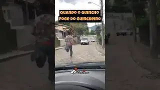 O guincho fugiu! ⚠️ 