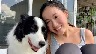 puppy abandoned twice, so we adopted him