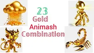 23 Gold Combination Animash #animash
