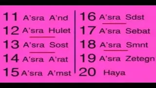 Counting 11-20 in Amharic Ethiopian language #shorts