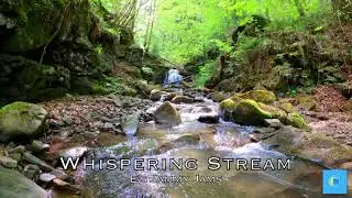 Whispering Stream - E's Jammy Jams ( No Copyright Music)