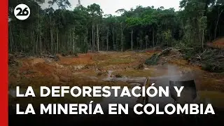 COLOMBIA | El impacto de la deforestación y la minería | 