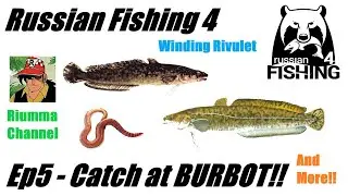 Russian Fishing 4 - Ep5 - Winding Rivulet - Catch at BURBOT!!..& more
