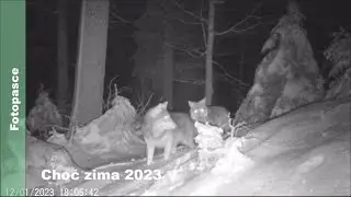 Fotopasca Choč zima 2023
