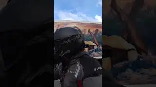 Чего только не увидишь на трассе