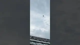 Посадка Таклы.