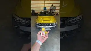 I caught 2 mice in my BMW