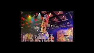 Lunar New Year Lion dance brings luck and protection. Lion dance needs skills, strength, cooperation