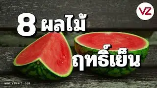 8ผลไม้มีฤทธิ์เย็น VZ