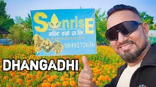 Dhangadhi | Dipawali | Dhangadhi vlog