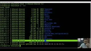 How to use chown command in linux |wiz maverick