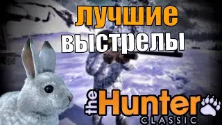 Изящные выстрелы и трофеи. The Hunter Classic