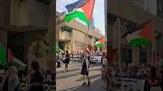 Free Palestine big rally in Toronto downtown.#short #shorts  #samsungs23ultra #freepalestine