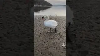 Где то на краю земли