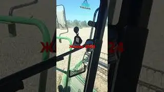 Жнива 2024