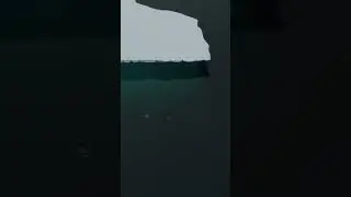 Humpback Whales - Antarctica