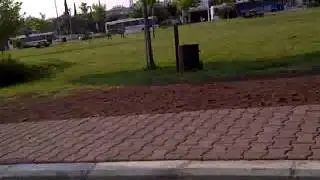 Türbanlının park kacamagı