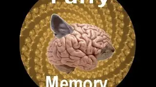 Furry Memories