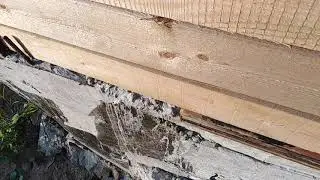 Подземная тюрьма, ошибки