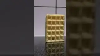 waffle, flips, dies (birb) scremmsh