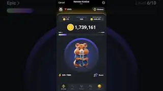Today Hamster Kombat Combo Cards | Hamster Combos for June 8